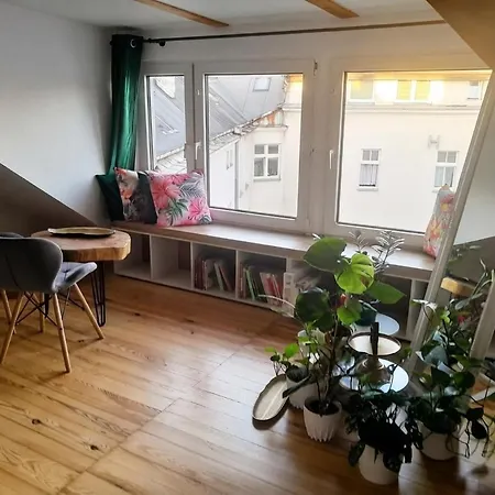 Apartment Attic *