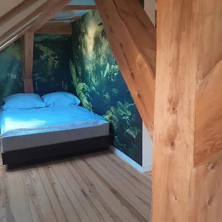 Attic Apartment Posen